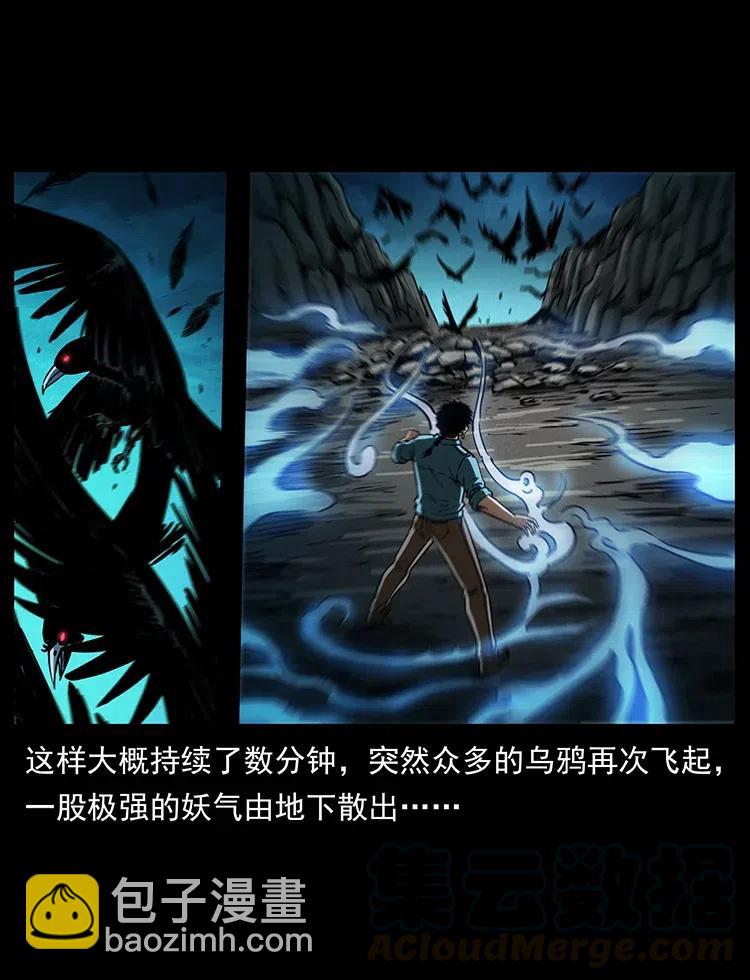 🍜幽冥诡匠 370 乌翅凤凰 第49页
