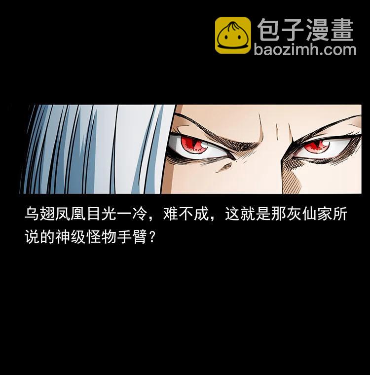 🍜幽冥诡匠 384 路障 第29页