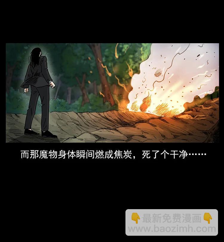 🍜幽冥诡匠 386 本少爷也是仙家 第11页