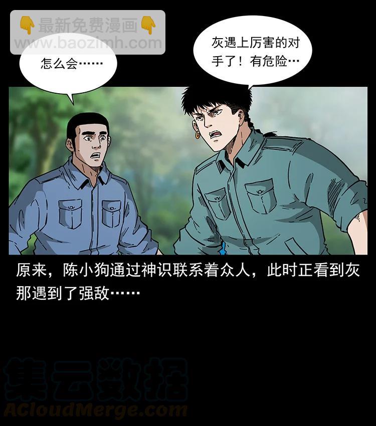 🍜幽冥诡匠 386 本少爷也是仙家 第34页