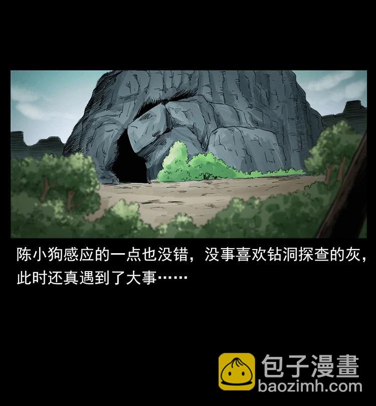 🍜幽冥诡匠 386 本少爷也是仙家 第36页