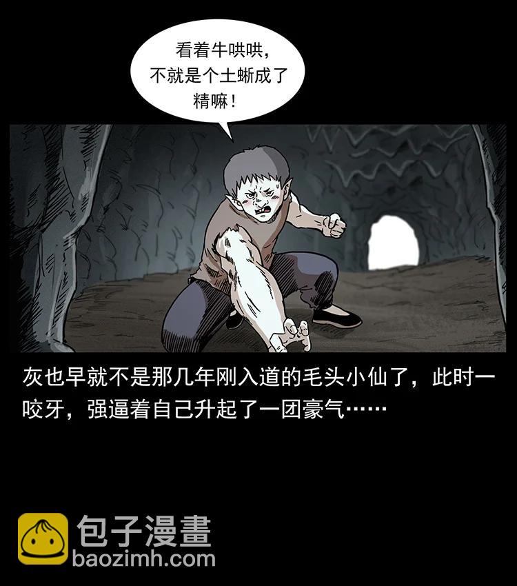 🍜幽冥诡匠 386 本少爷也是仙家 第47页