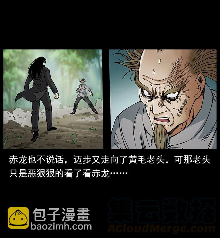🍜幽冥诡匠 390 斩草除根 第13页