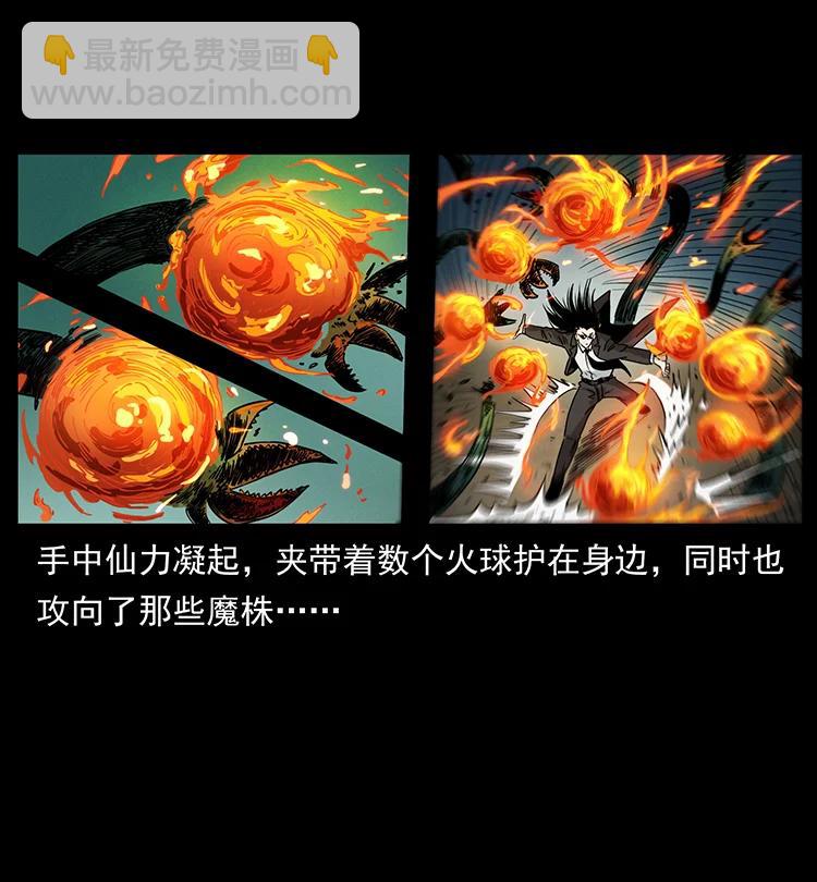 🍜幽冥诡匠 390 斩草除根 第30页