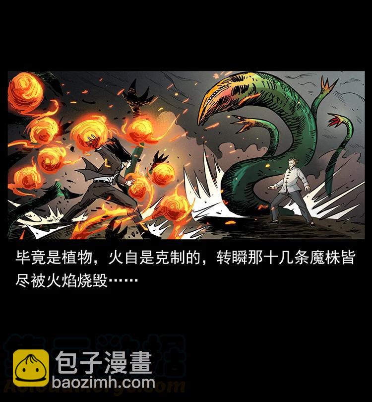 🍜幽冥诡匠 390 斩草除根 第31页