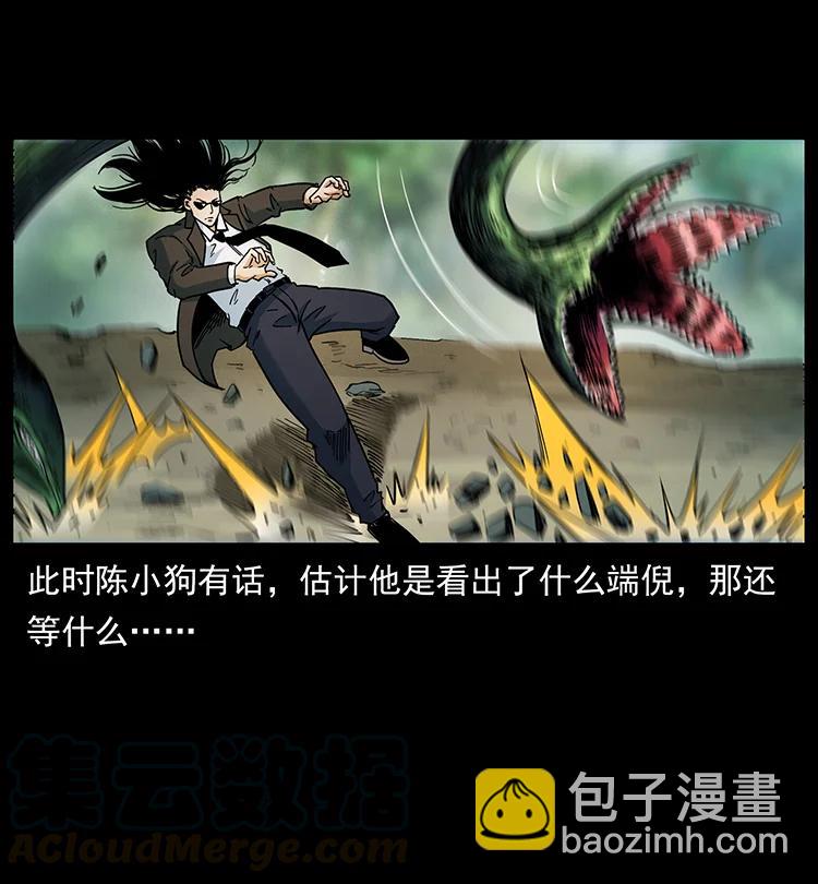 🍜幽冥诡匠 390 斩草除根 第46页