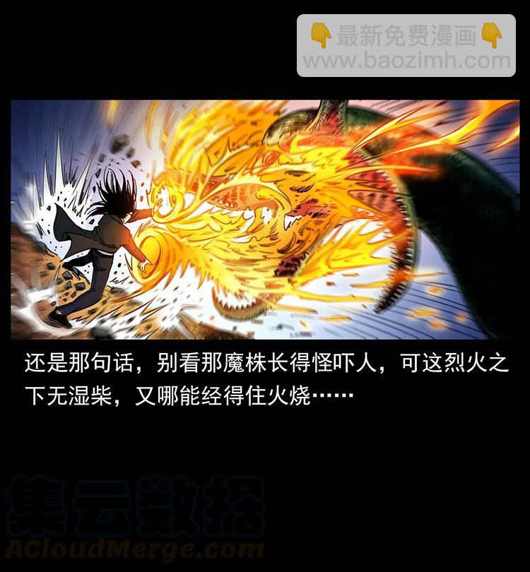 🍜幽冥诡匠 390 斩草除根 第49页