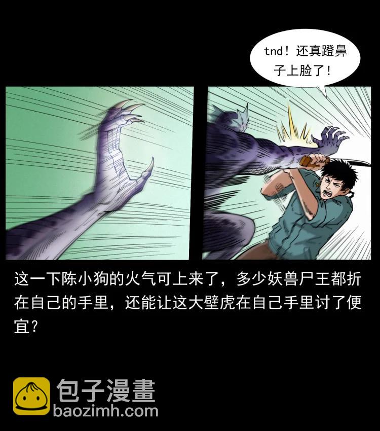 🍜幽冥诡匠 398 尸仙 第15页