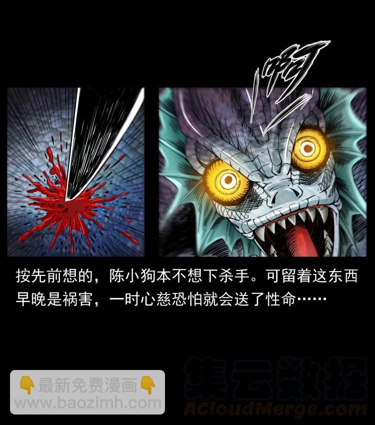 🍜幽冥诡匠 398 尸仙 第34页