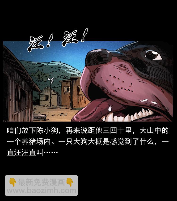 🍜幽冥诡匠 410 猎杀阴差 第36页