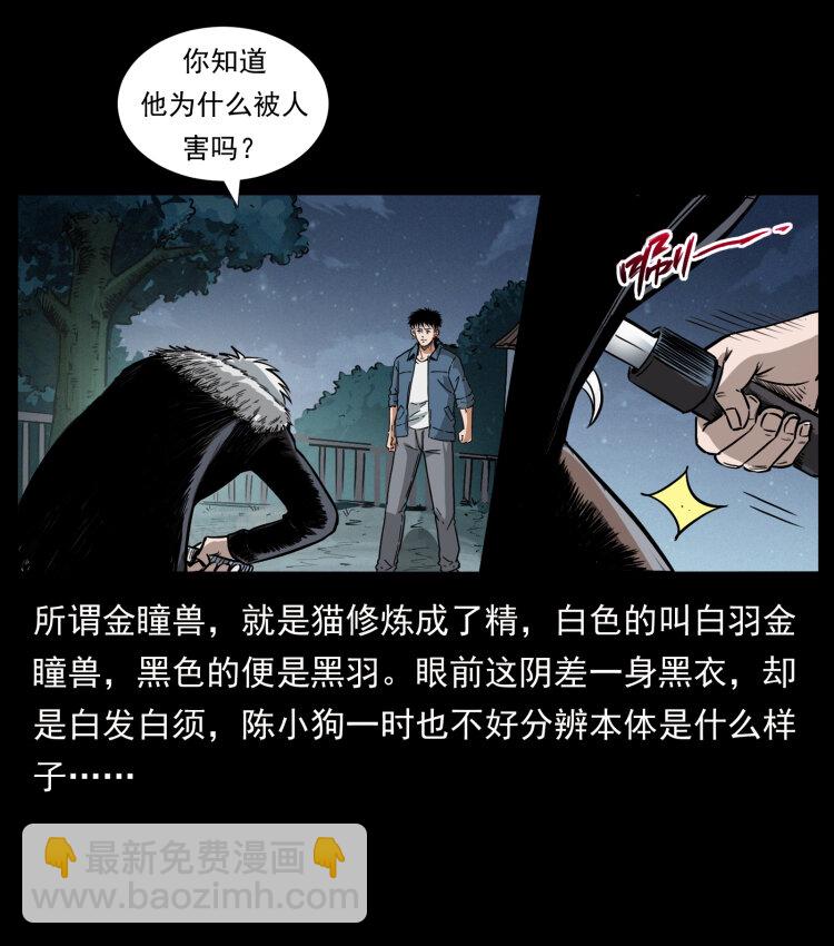 🍜幽冥诡匠 416 七爷的信徒 第44页