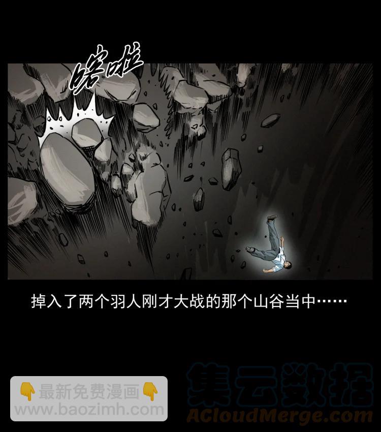 🍜幽冥诡匠 422 不死羽人 第46页