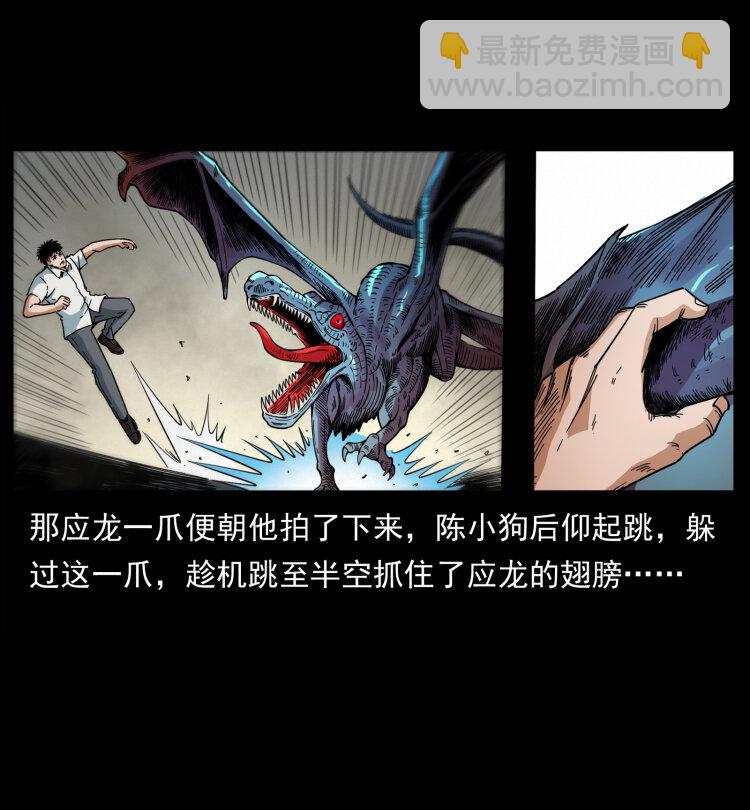 🍜幽冥诡匠 440 应天龙 第30页