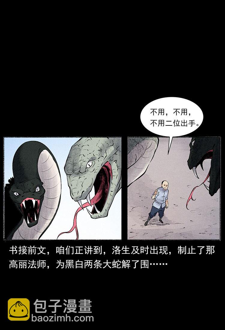 🍜幽冥诡匠 外传 洛生传6 黑萨满 第2页