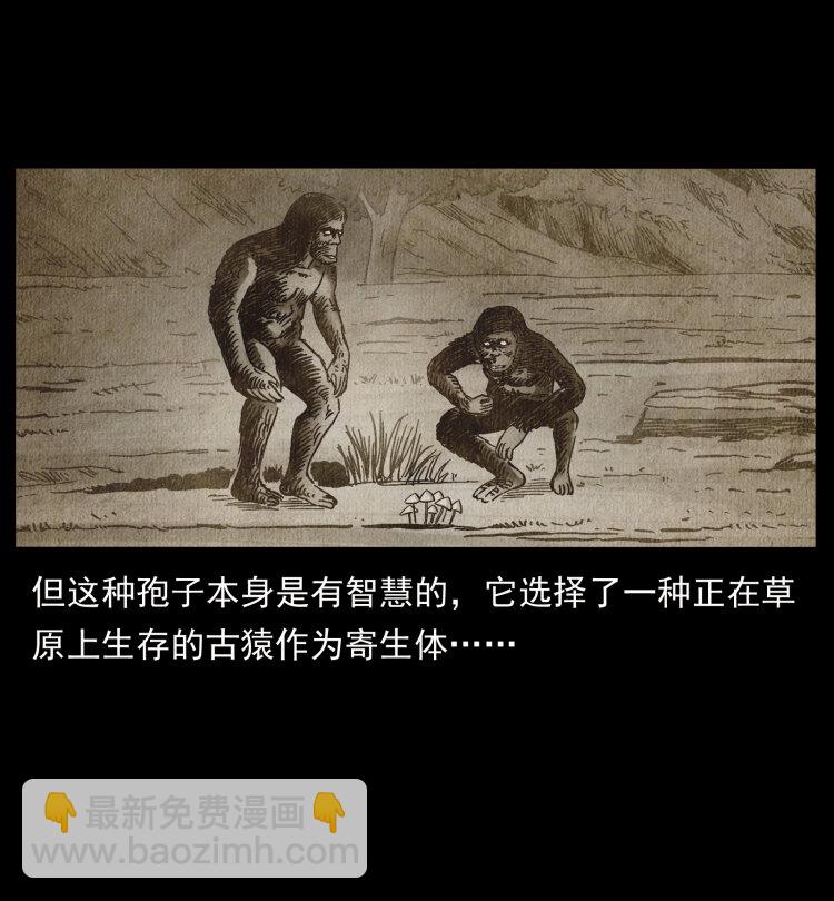 🍜幽冥诡匠 460 你才是猴子变的！ 第26页