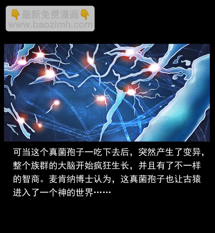 🍜幽冥诡匠 460 你才是猴子变的！ 第28页