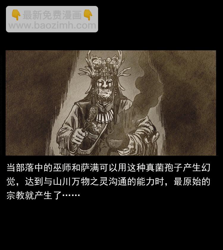 🍜幽冥诡匠 460 你才是猴子变的！ 第30页