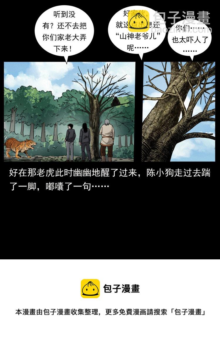 🍜幽冥诡匠 466 萨满的世界 第17页
