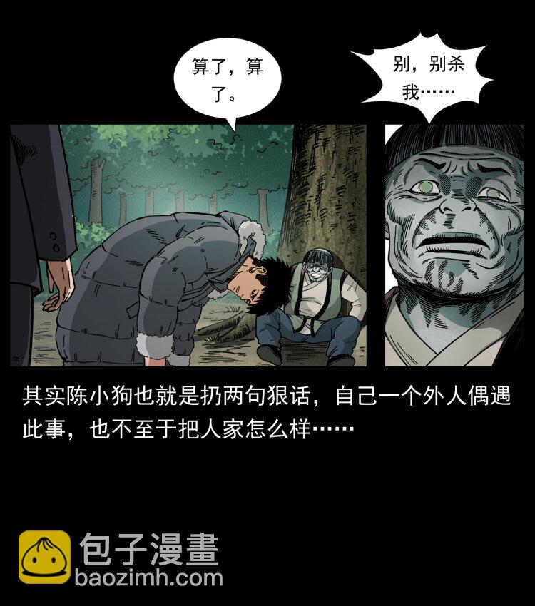 🍜幽冥诡匠 466 萨满的世界 第46页