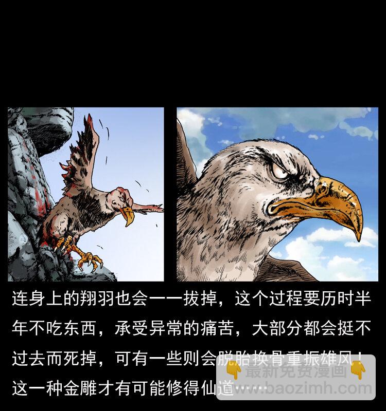 🍜幽冥诡匠 049 刨尸狗传奇2 第13页