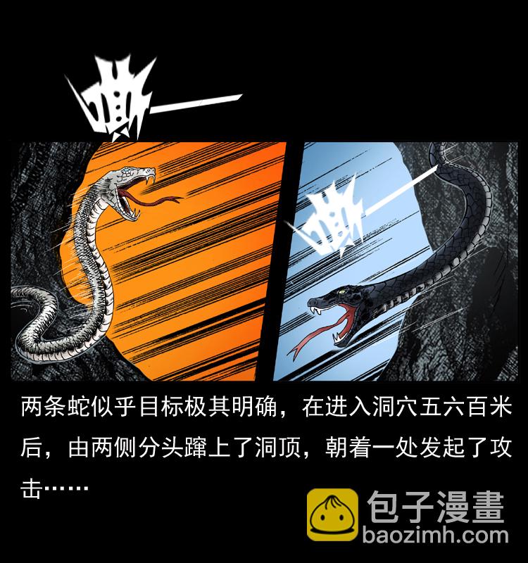 🍜幽冥诡匠 049 刨尸狗传奇2 第4页