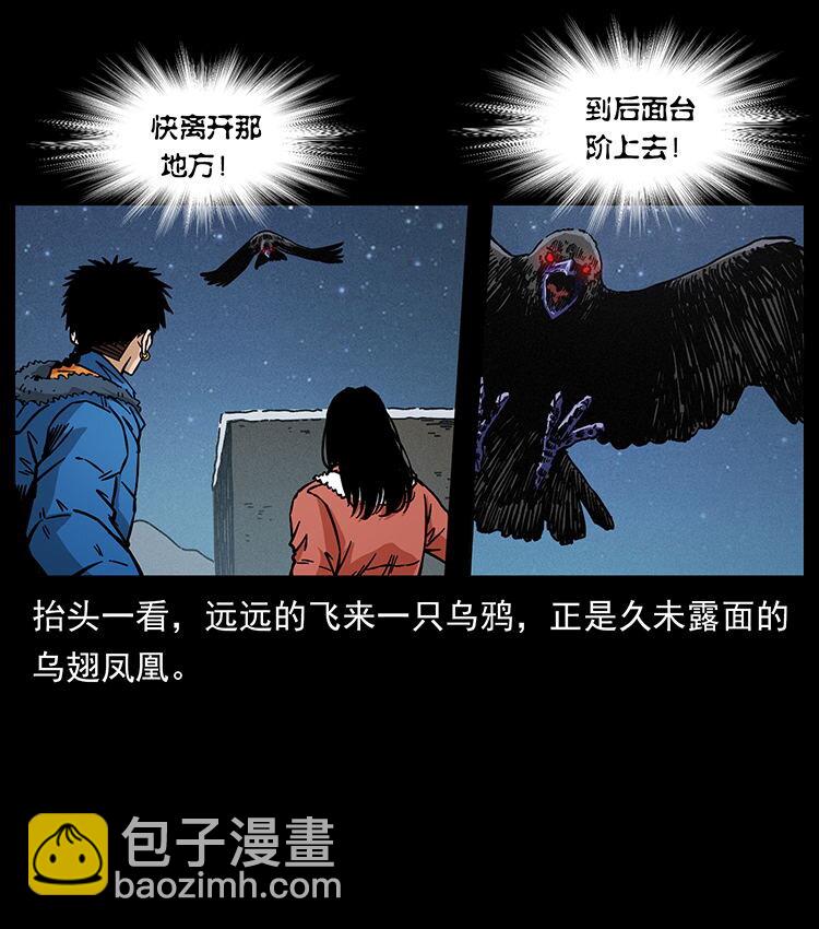 🍜幽冥诡匠 480 萨满来了！ 第12页