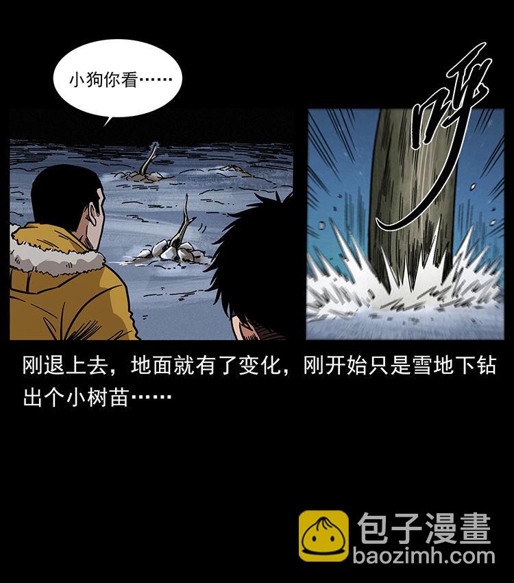 🍜幽冥诡匠 480 萨满来了！ 第14页
