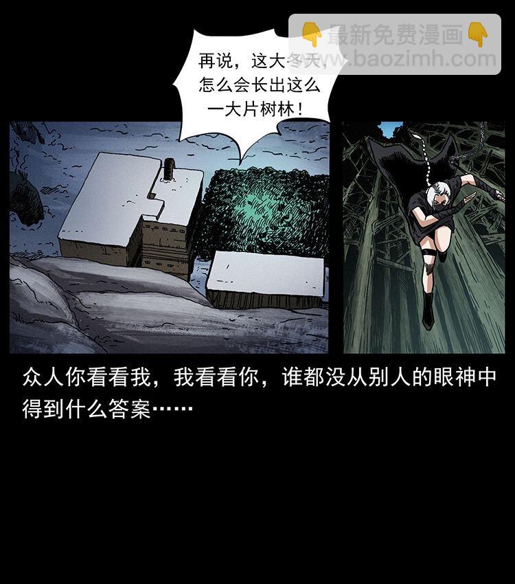 🍜幽冥诡匠 480 萨满来了！ 第19页
