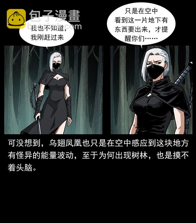 🍜幽冥诡匠 480 萨满来了！ 第22页