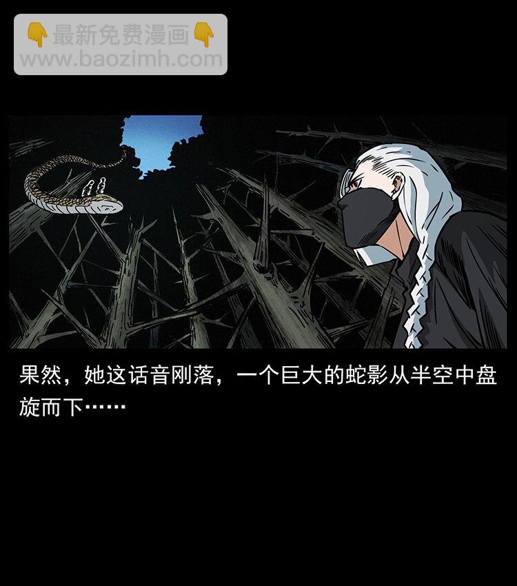 🍜幽冥诡匠 480 萨满来了！ 第24页