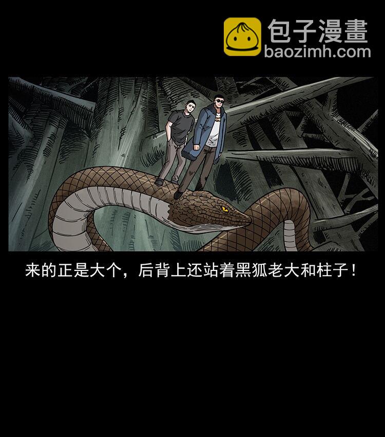 🍜幽冥诡匠 480 萨满来了！ 第25页