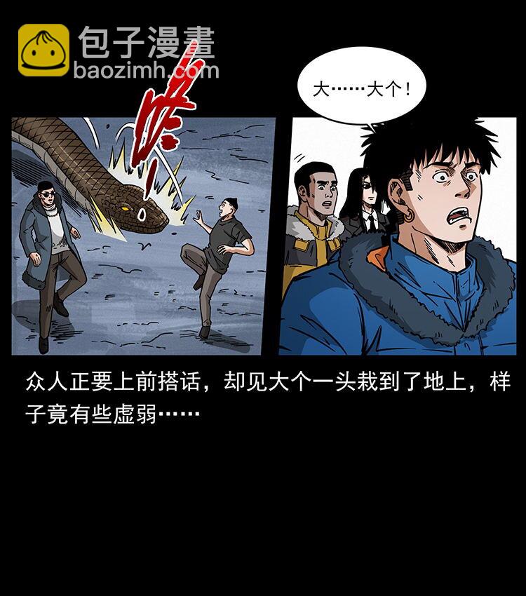 🍜幽冥诡匠 480 萨满来了！ 第27页