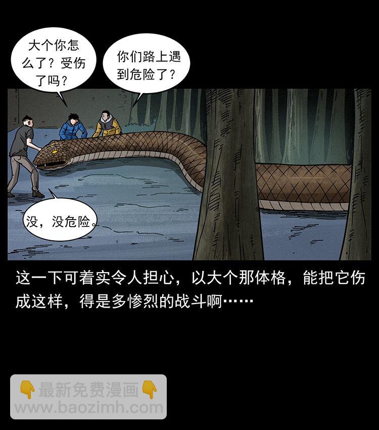 🍜幽冥诡匠 480 萨满来了！ 第28页