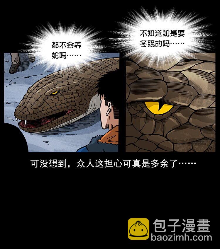 🍜幽冥诡匠 480 萨满来了！ 第29页