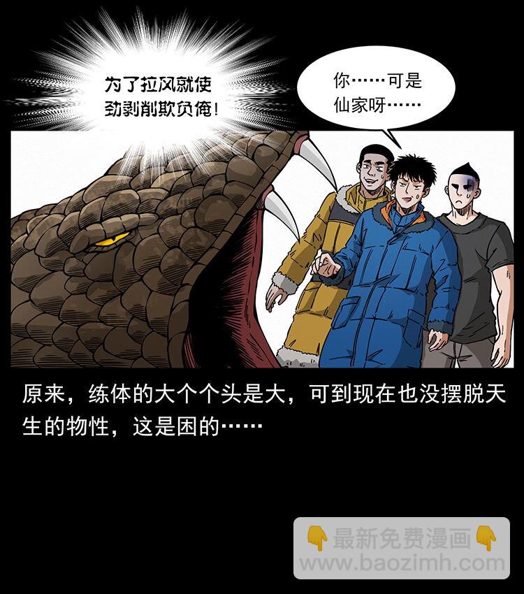 🍜幽冥诡匠 480 萨满来了！ 第30页