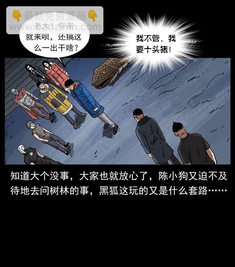 🍜幽冥诡匠 480 萨满来了！ 第31页