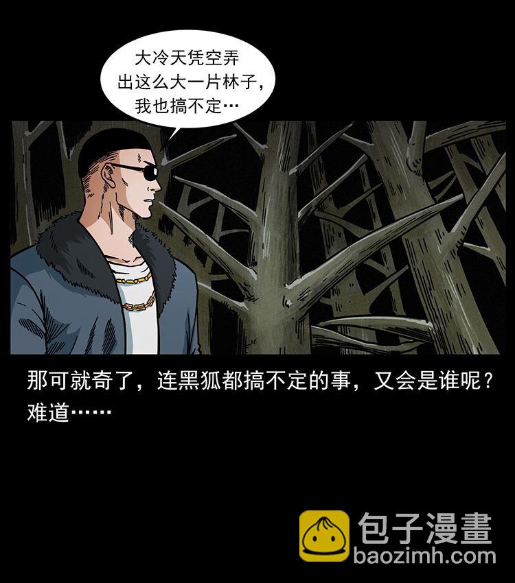 🍜幽冥诡匠 480 萨满来了！ 第33页