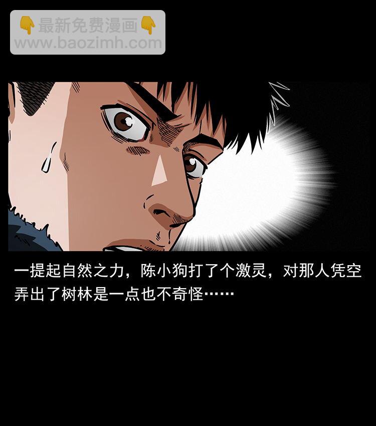 🍜幽冥诡匠 480 萨满来了！ 第45页