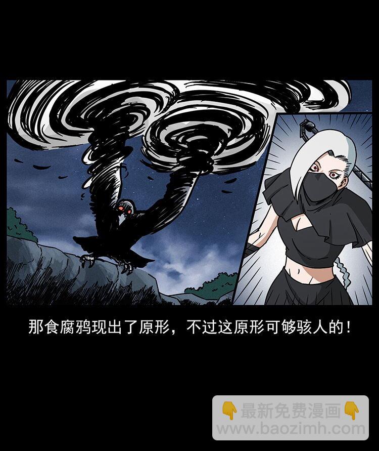 🍜幽冥诡匠 484 极地鸦族 第44页