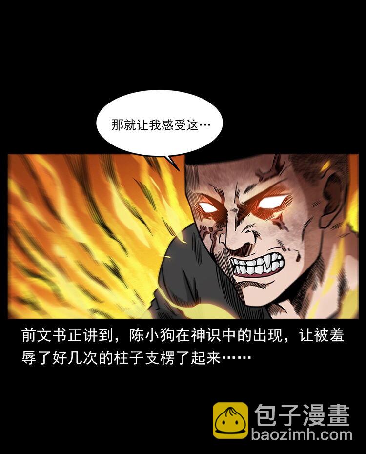 🍜幽冥诡匠 486 人与狐 第2页