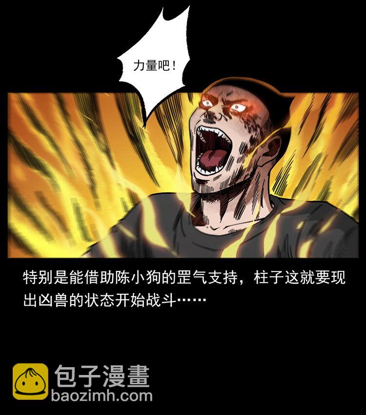 🍜幽冥诡匠 486 人与狐 第3页
