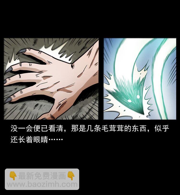 🍜幽冥诡匠 486 人与狐 第33页
