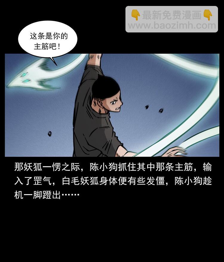 🍜幽冥诡匠 486 人与狐 第45页