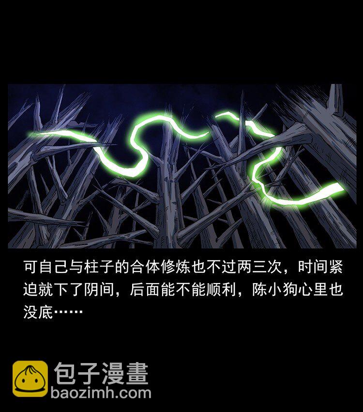 🍜幽冥诡匠 490 黑暗森林 第11页