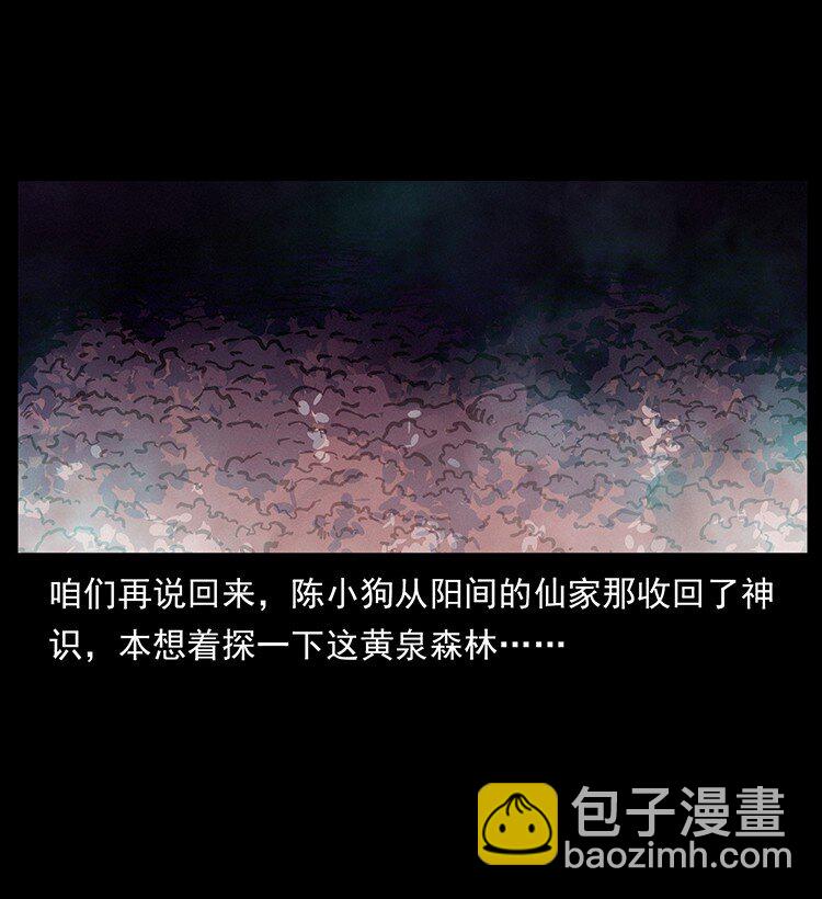 🍜幽冥诡匠 490 黑暗森林 第14页