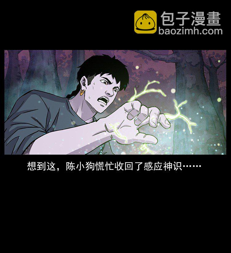 🍜幽冥诡匠 490 黑暗森林 第17页