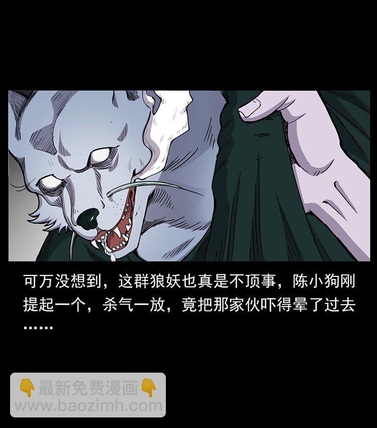 🍜幽冥诡匠 490 黑暗森林 第30页
