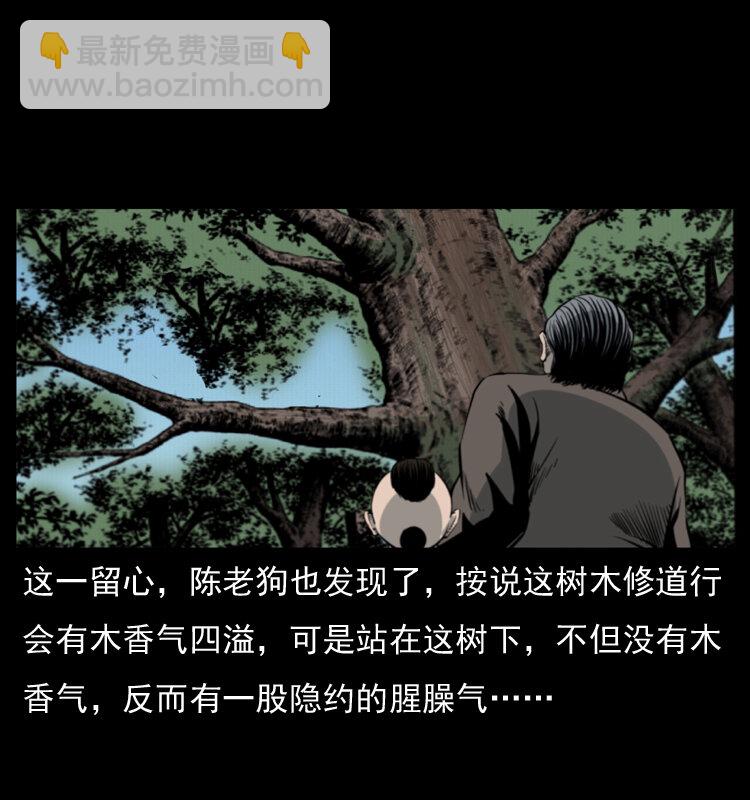 🍜幽冥诡匠 008 槐树下的小庙 第17页