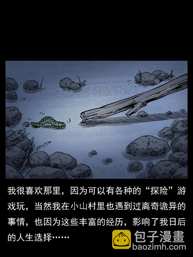 🍜幽冥诡匠 番外2 之保家白仙 第3页