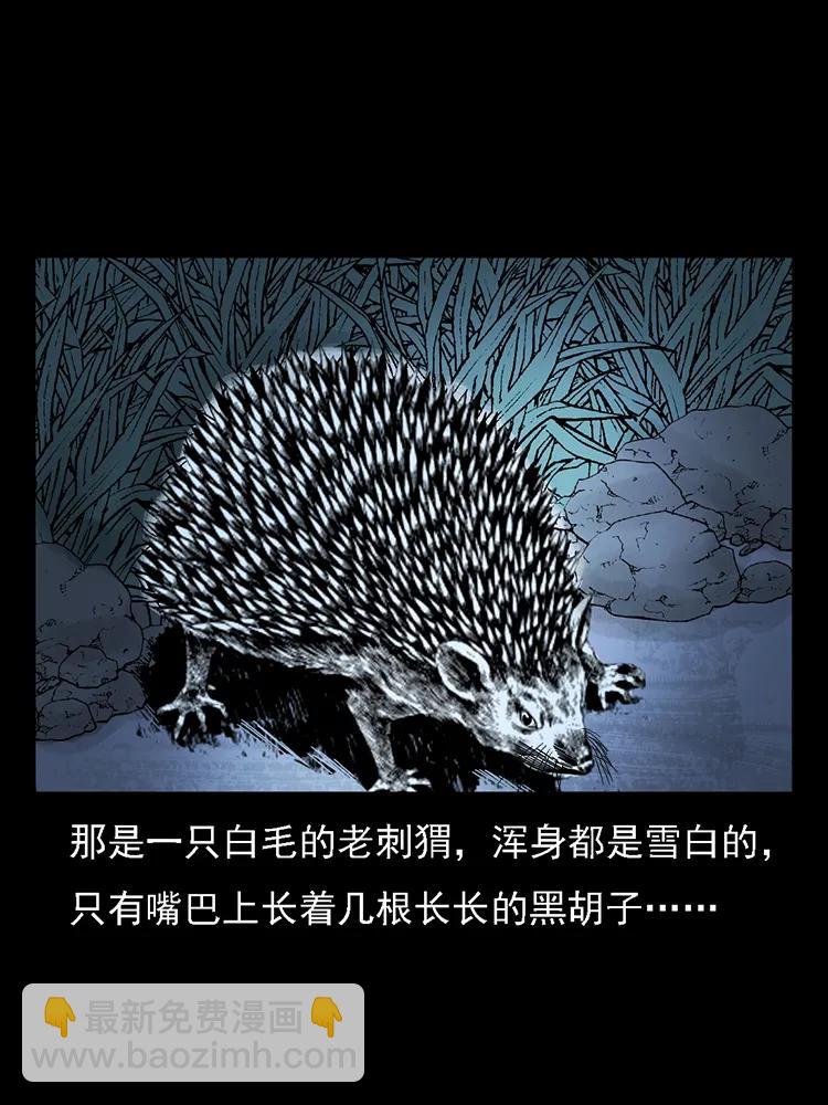 🍜幽冥诡匠 番外2 之保家白仙 第32页
